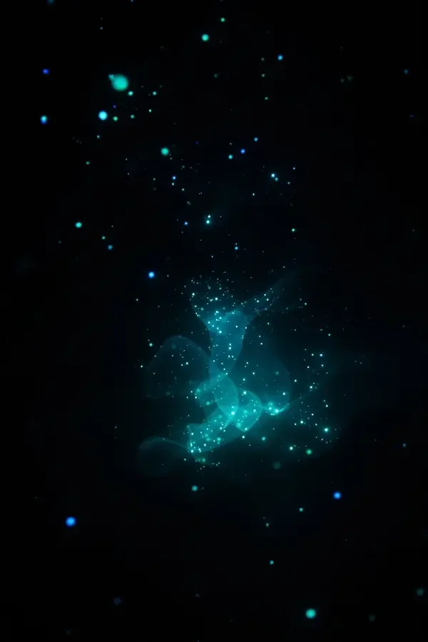 夜潜奇遇 深海慢游影像封面