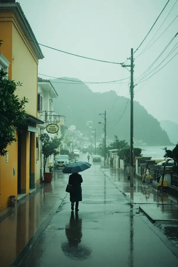 慢城的雨季 深海慢游影像封面