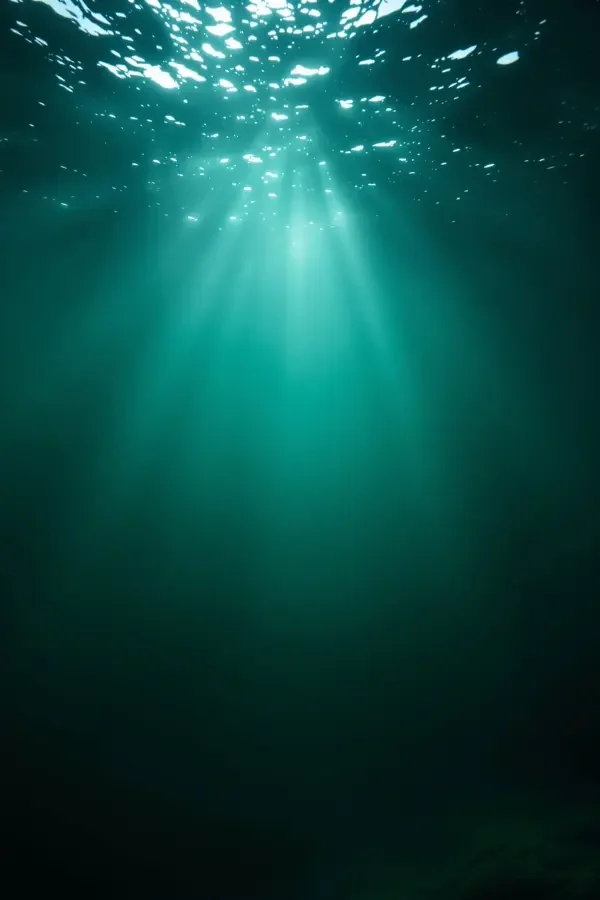 深海奇观 专题合集封面