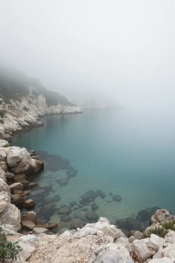 静谧海湾 深海慢游影像封面