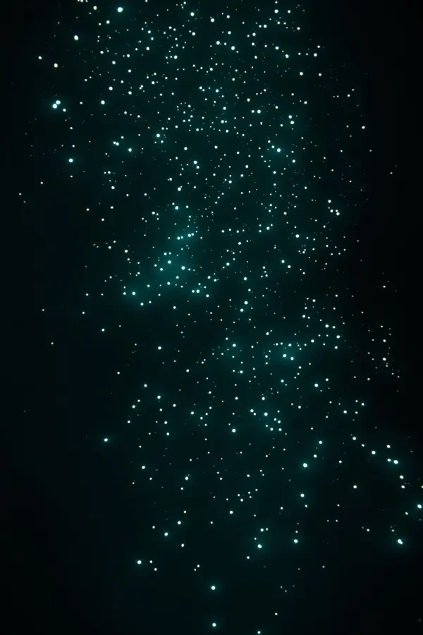深海星光 深海慢游影像封面
